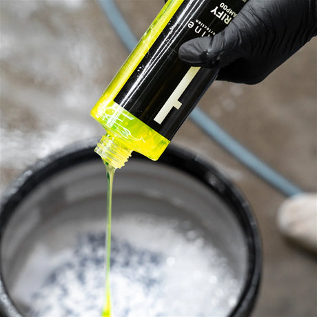 Tershine Purify - Shampoo, 500 ml