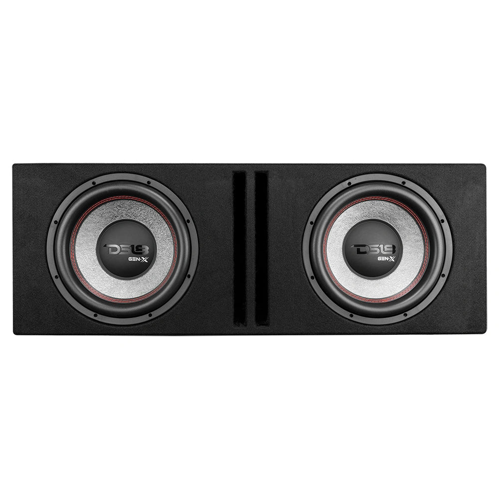 DS18 GEN-X212LD, portad 2x12 tums baslåda med Tershine Purify S