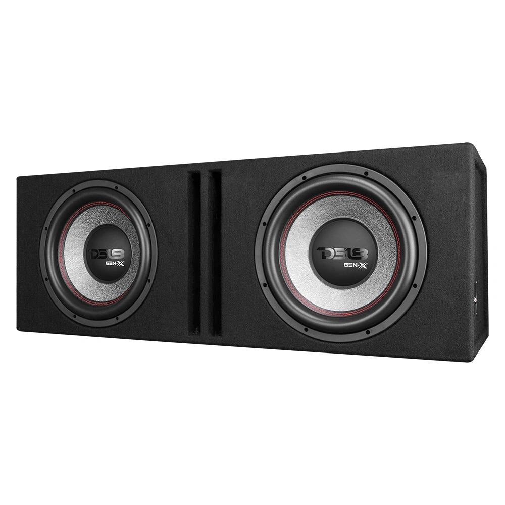 DS18 GEN-X212LD, portad 2x12 tums baslåda med Tershine Purify S