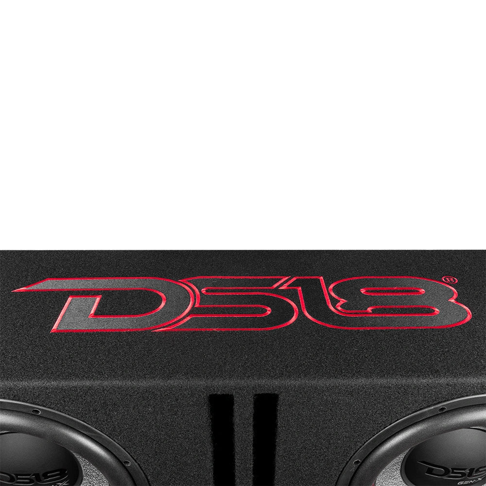 DS18 GEN-X212LD, portad 2x12 tums baslåda med Tershine Purify S