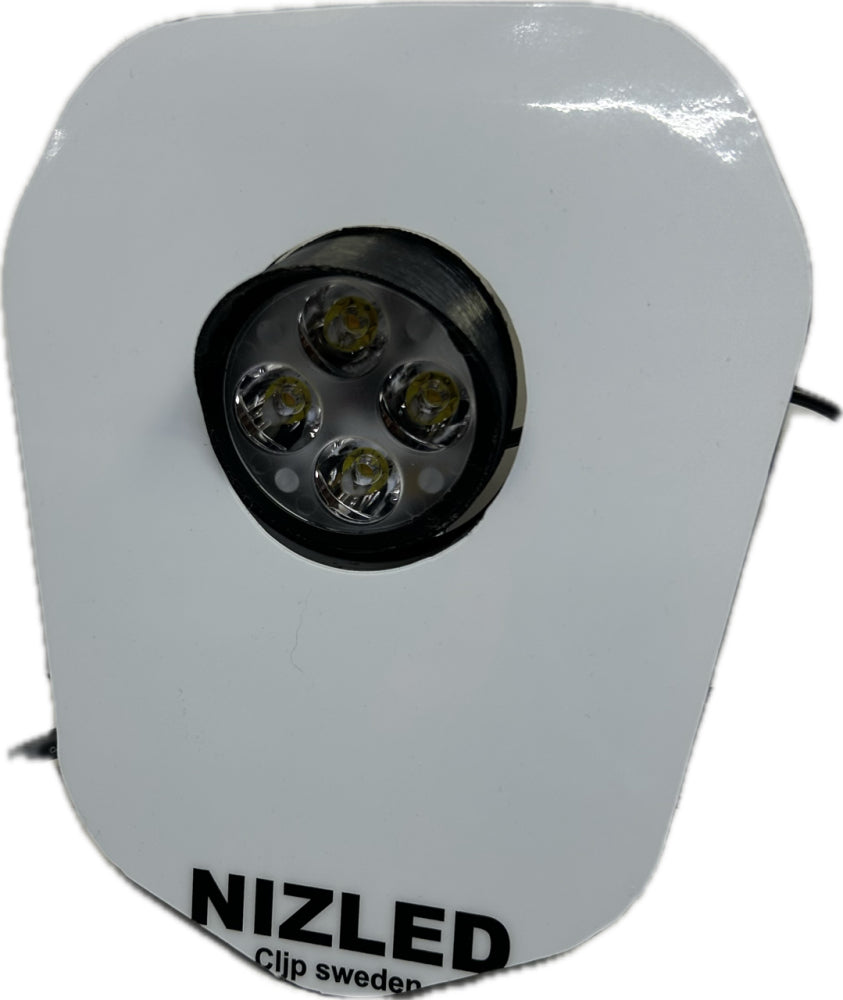 Singelljus kallvit 50w Triumph 2024-, vit dekal, 1xE406k NIZLED