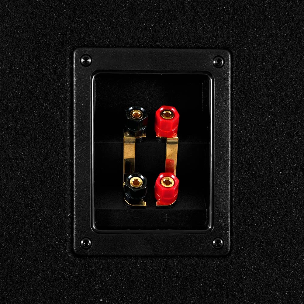 GAS MAD B1-212 2x12" Portad Baslåda - Avatar ABR-800.1 Monoförstärkare kit