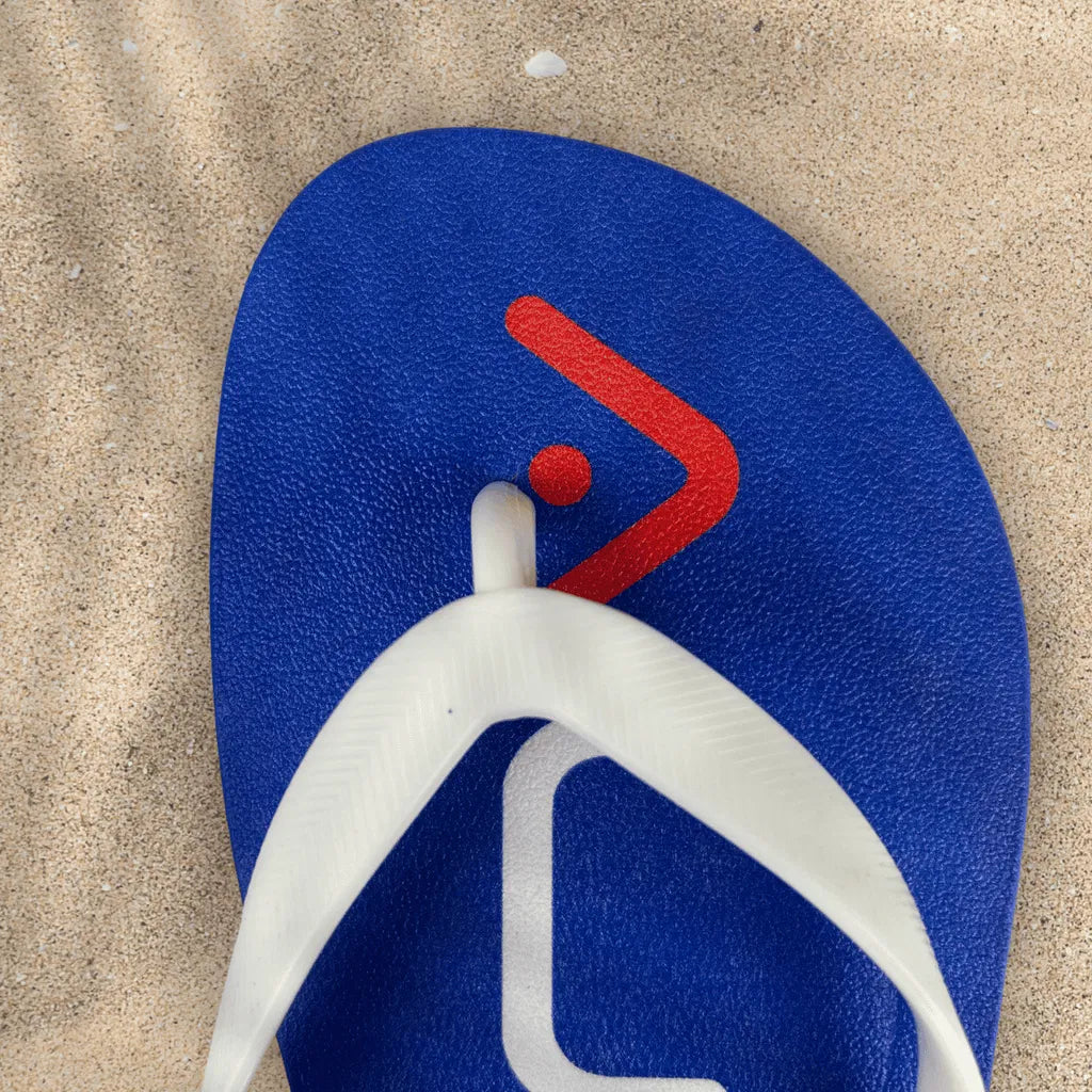 GS Audio Flip Flops
