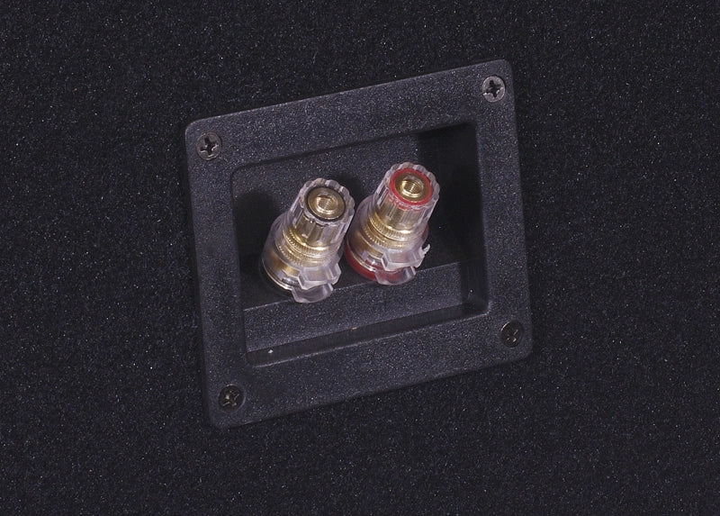 Portad 2x12 tum baslåda med 2st EDGE EDP122SPL-E3