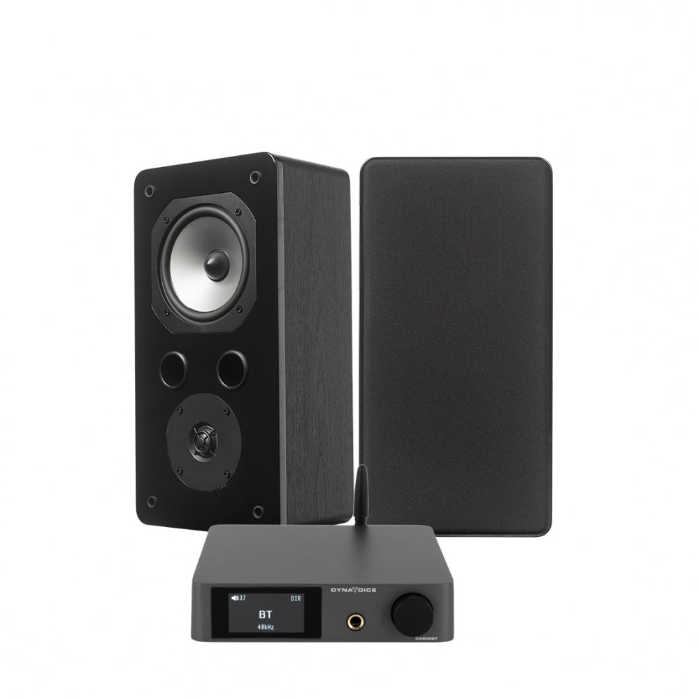 Dynavoice CA802BT & Challenger S-5S, stereopaket