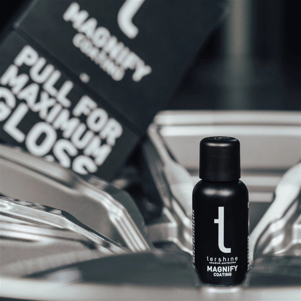 Tershine Lackskyddspaket, Polering & coating