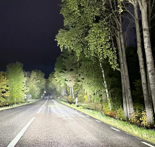 XBB-PAKET SUPERVISION REVOLUTION 600