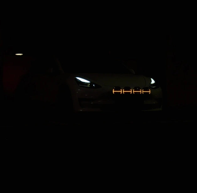 SUPERVISION ANCORA 7"