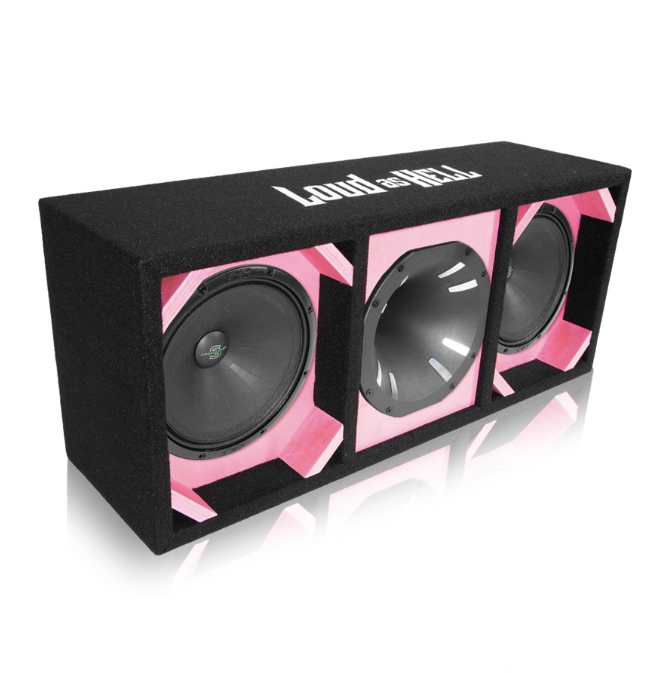 2x8" AP-M81SE Pro låda med Inferno Horn