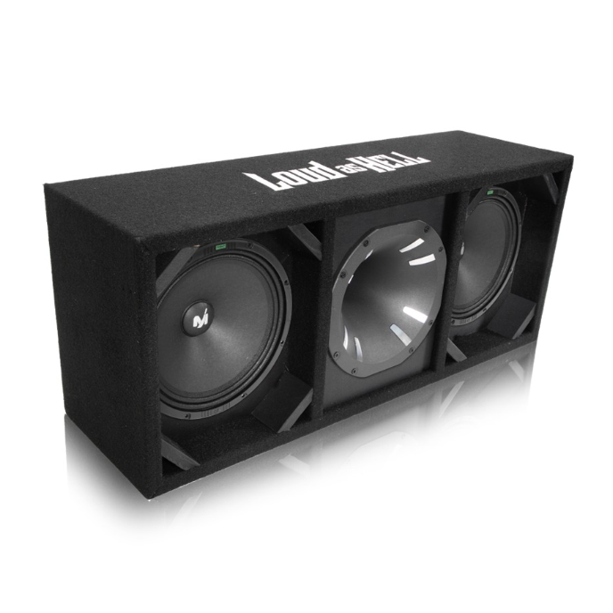 2x8" MM-80F Pro låda med Terror Horn