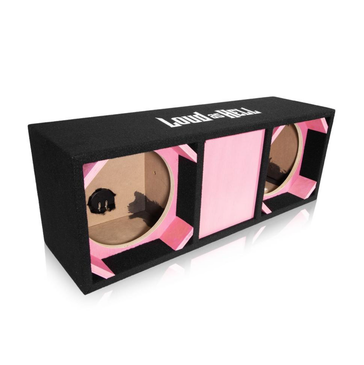 GAS MAD PM2-104 i en Loud as Hell 2x10" Pro Rosa, Raggarkit