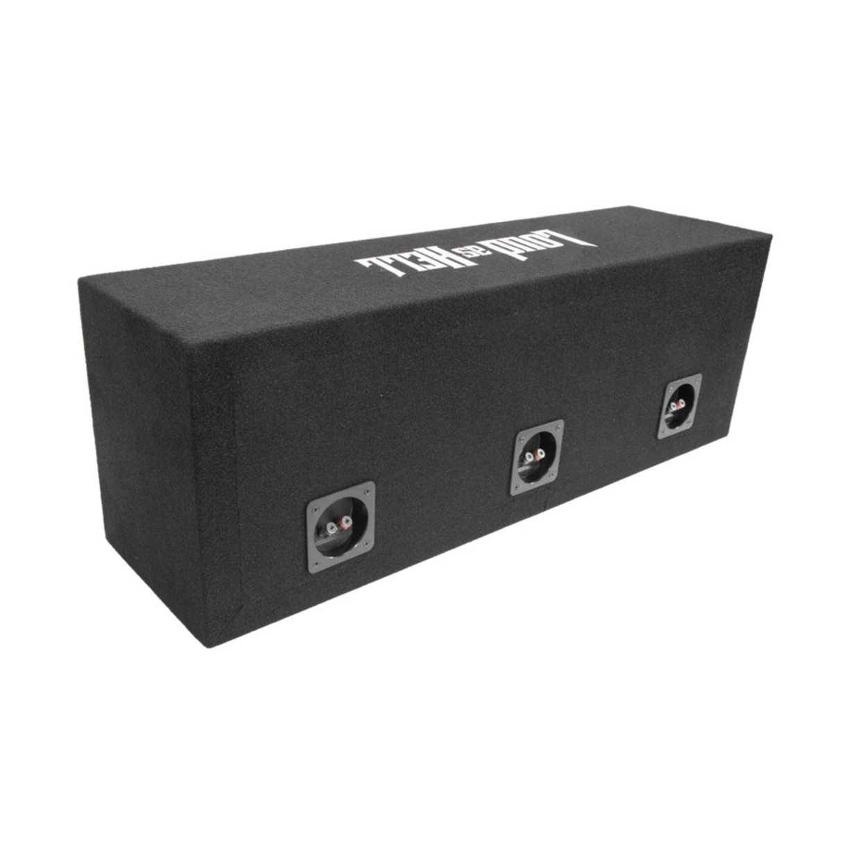 GAS MAD PM2-104 i en Loud as Hell 2x10" Pro Rosa, Raggarkit