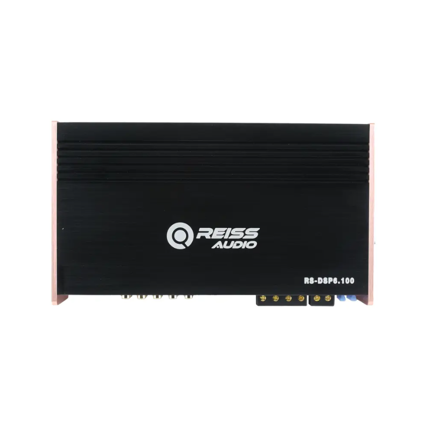 Reiss RS-DSP6.100