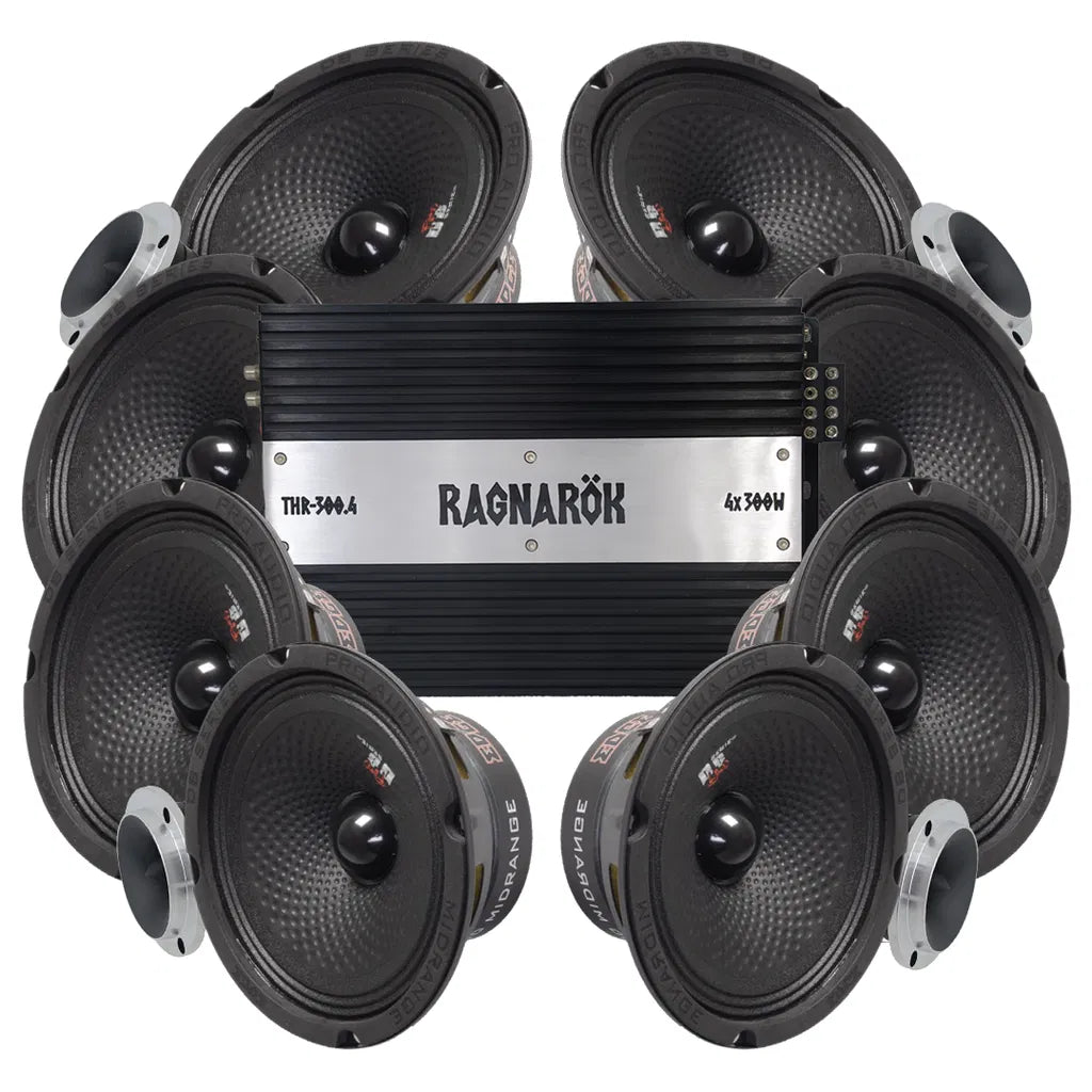 Edge EDBPRO6-E3 8x6.5" Amp kit