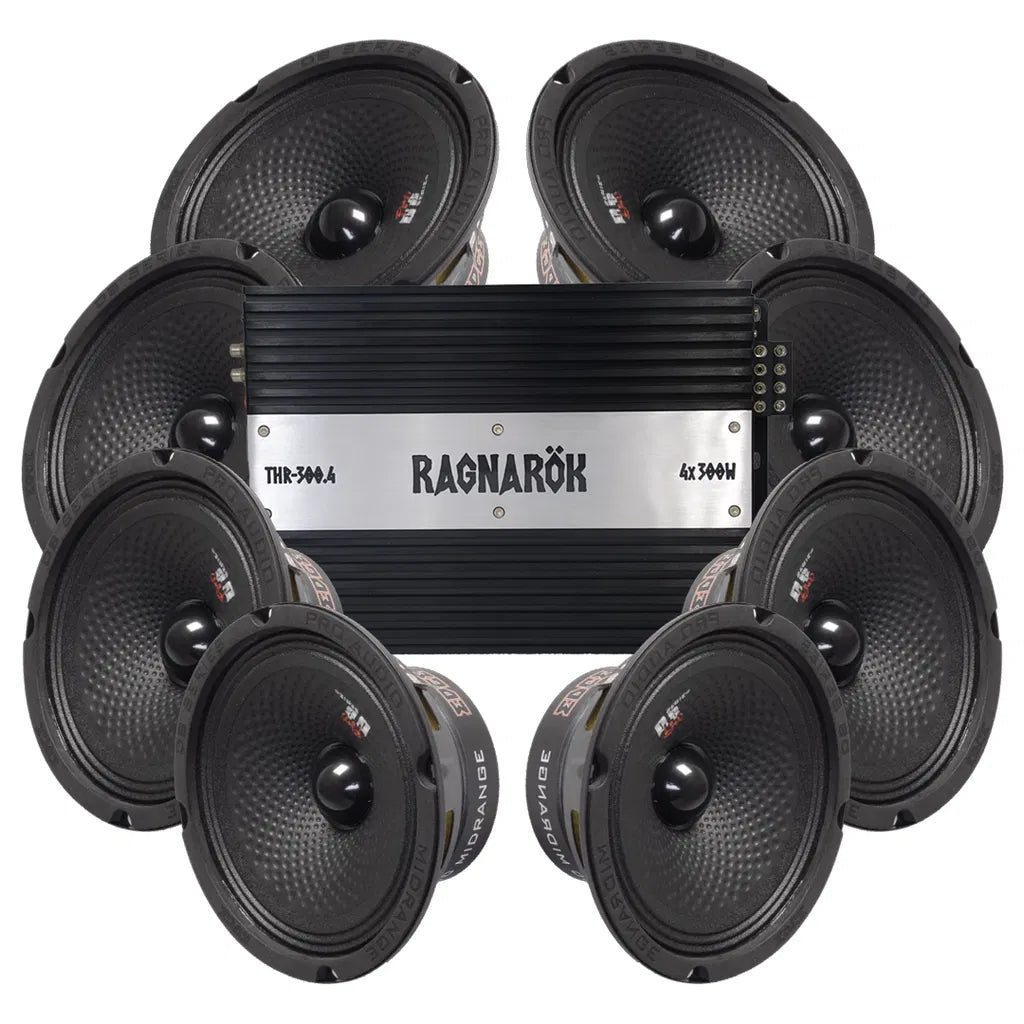 Edge EDBPRO6-E3 8x6.5" Amp pack