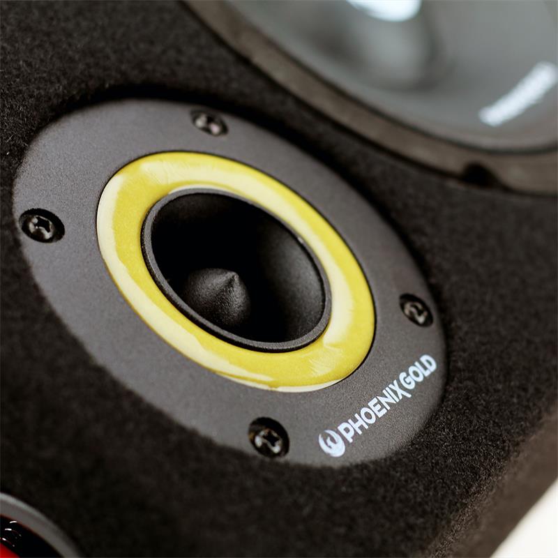 Phoenix Gold ZPBOX654 – Raggarplanka