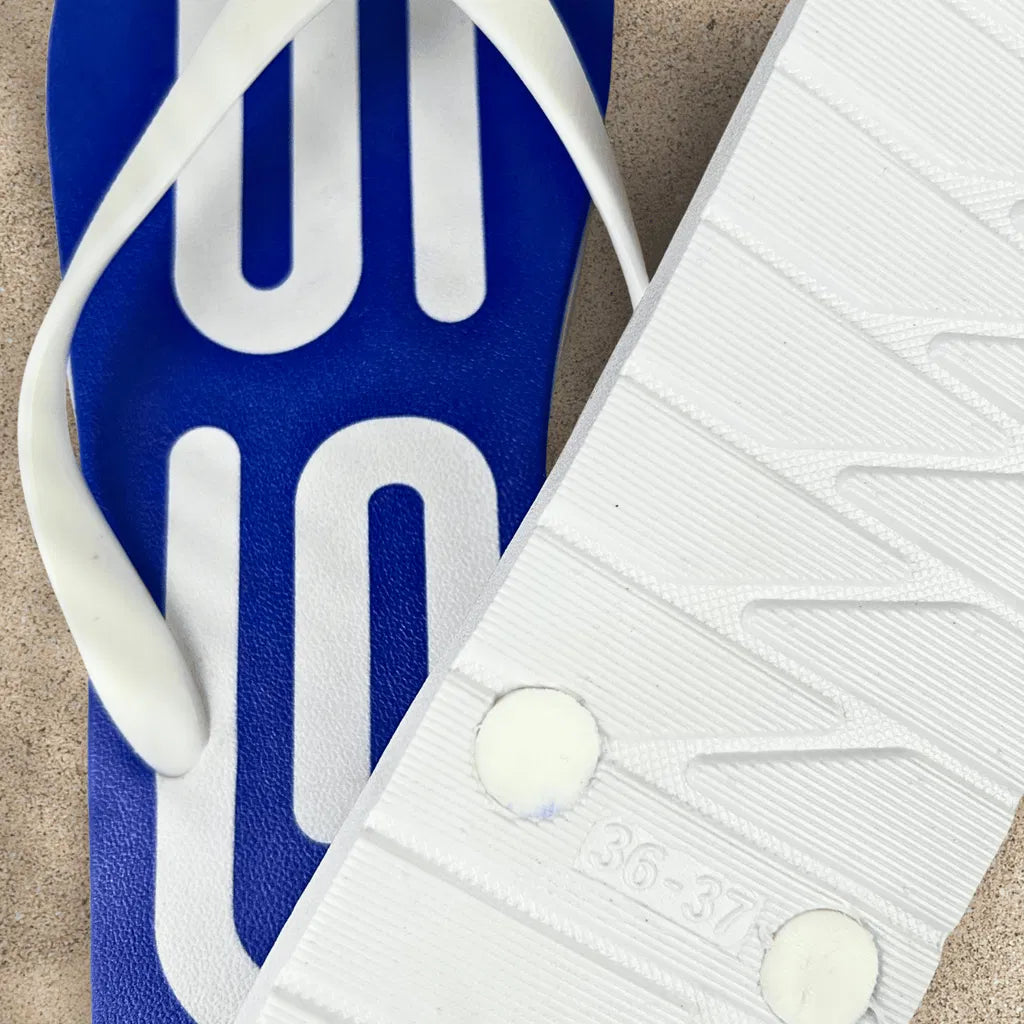 GS Audio Flip Flops