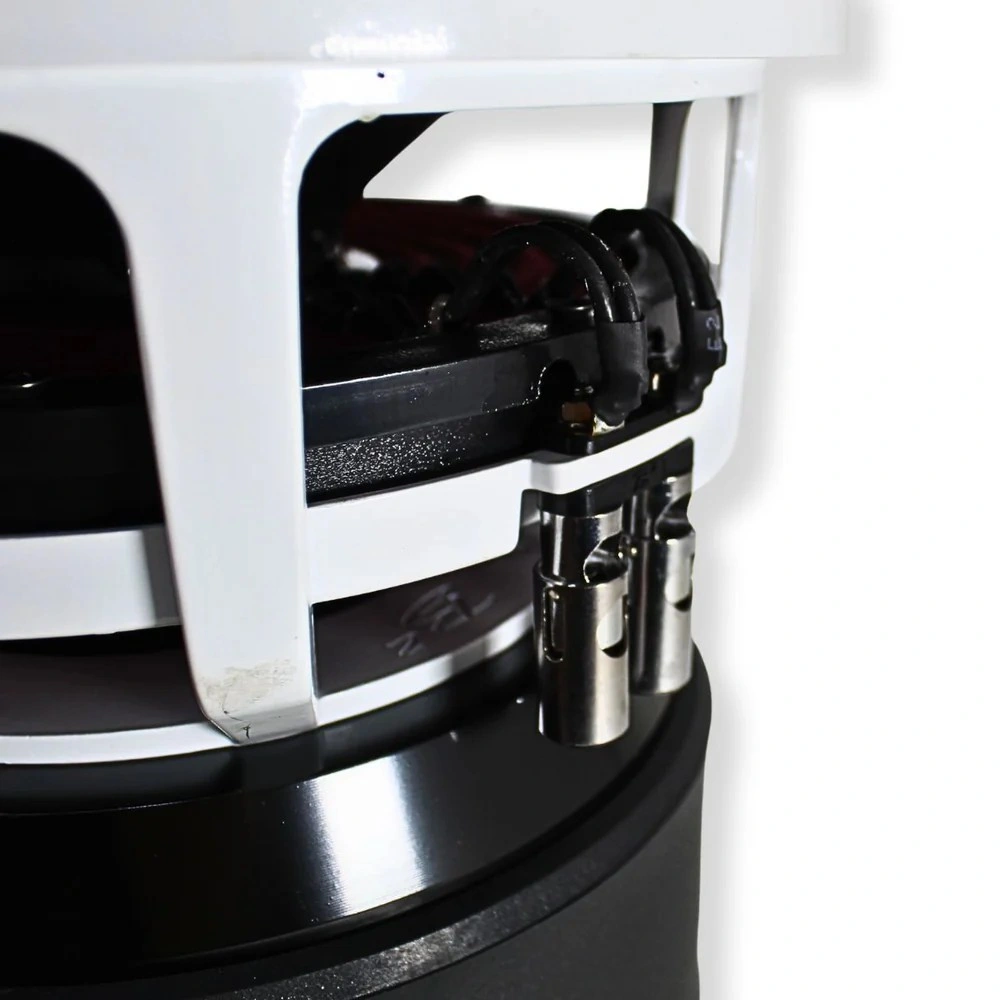 B² Audio RAMPAGE 10 D1, 10 tum baselement