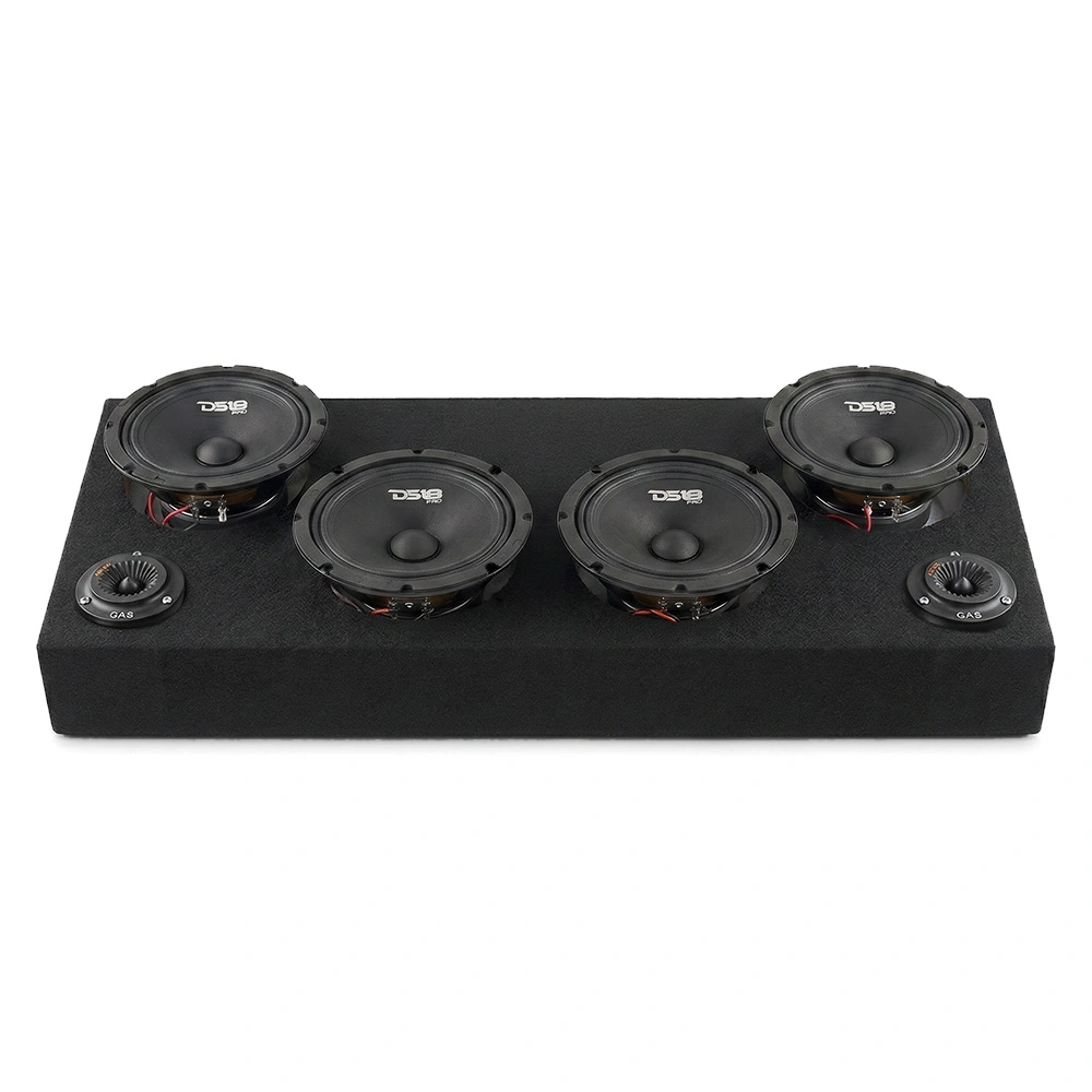 4st DS18 PRO-GM8.4 i raggarplanka med MAD PT2-254 horndiskanter