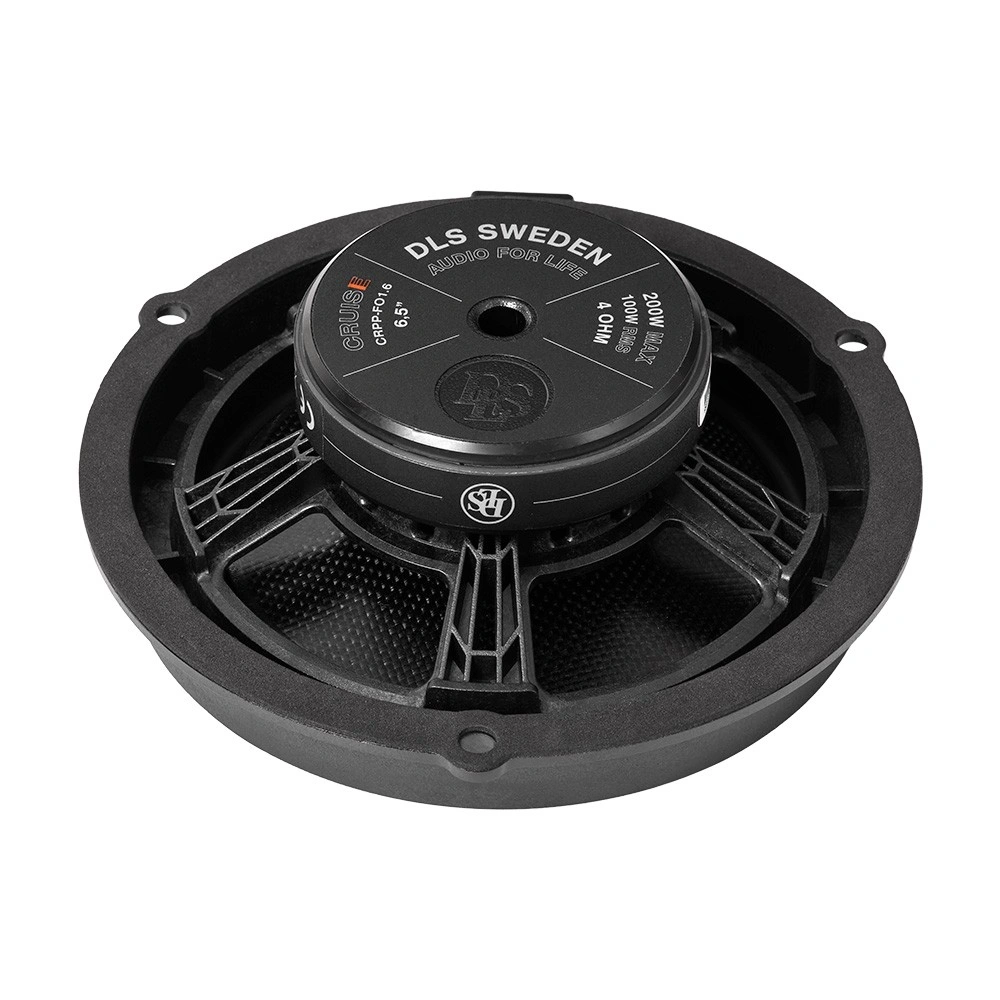 DLS Cruise CRPP-FO1.6, modellanpassat kitsystem till Ford
