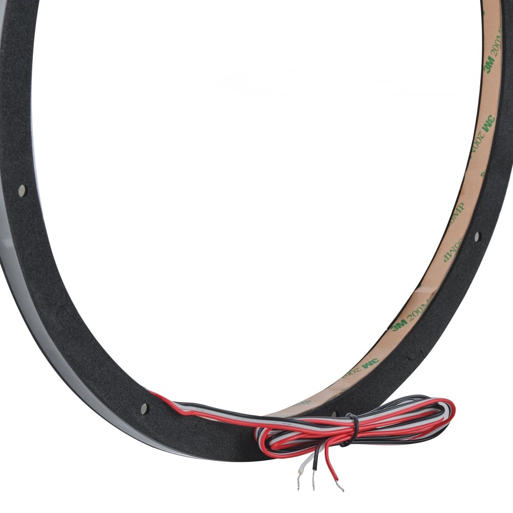 DS18 DLRING12, 12tums digital RGB LED-ring för högtalare/basar