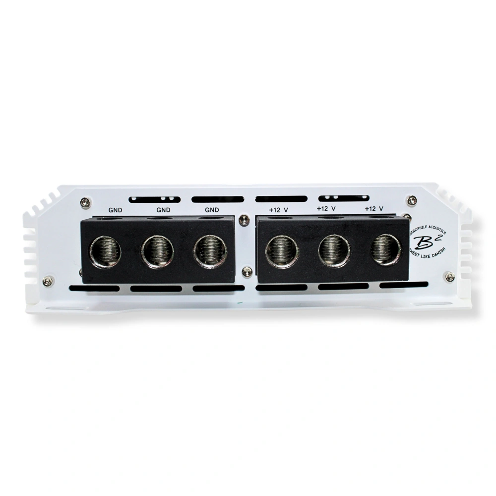 B² Audio RAGE 4500.1, monoblock