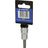 Brilliant Tools Sexkants-hylsa 3/8" insex-kant bit-hylsa, 6 mm BT021873
