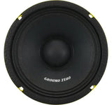 GS Audio 420.2 + 4x6,5 gzcm SPL paket