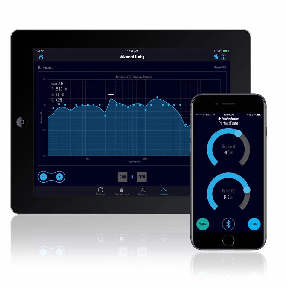 Rockford Fosgate DSR1