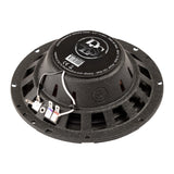 DLS Performance M226