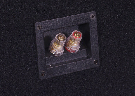 Auto-Connect 2x12 förstärkt tom baslåda