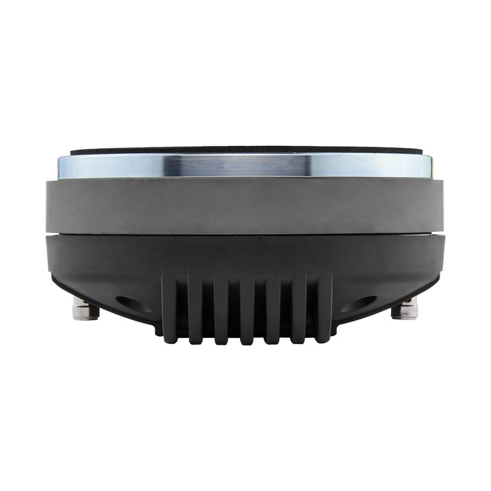 DS18 PRO-DPL1PH, kaxig 2 tums driver