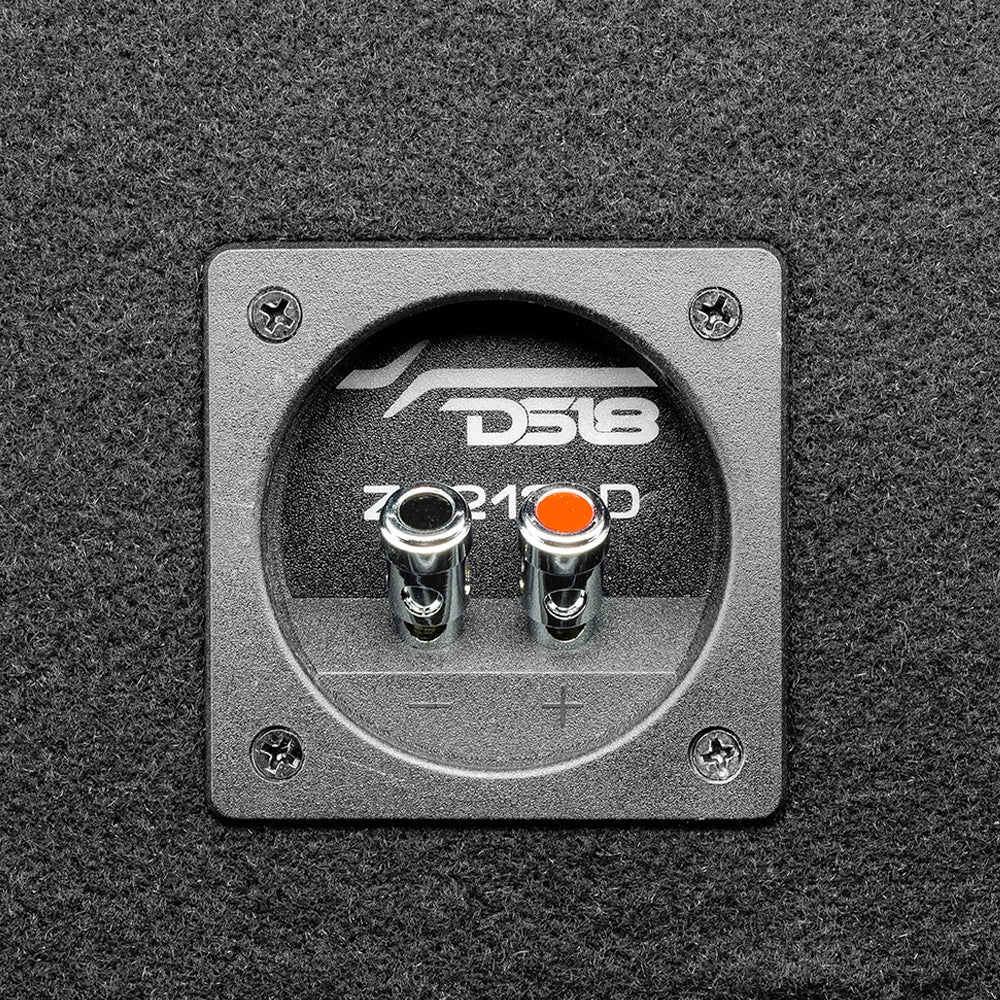 DS18 ZR212LD, portad 2x12 tums baslåda