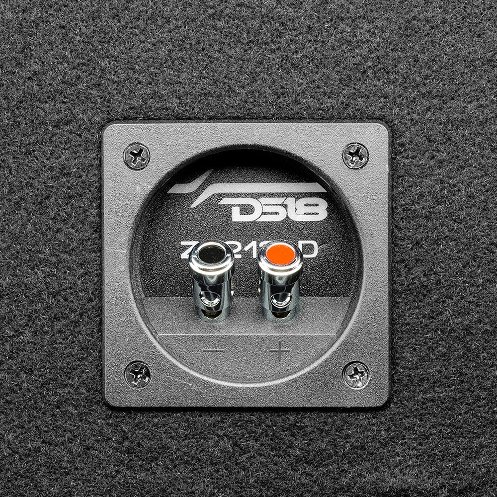 DS18 ZR212LD med Bass Habit RA3600W & Tershine Purify S, tungt baspaket