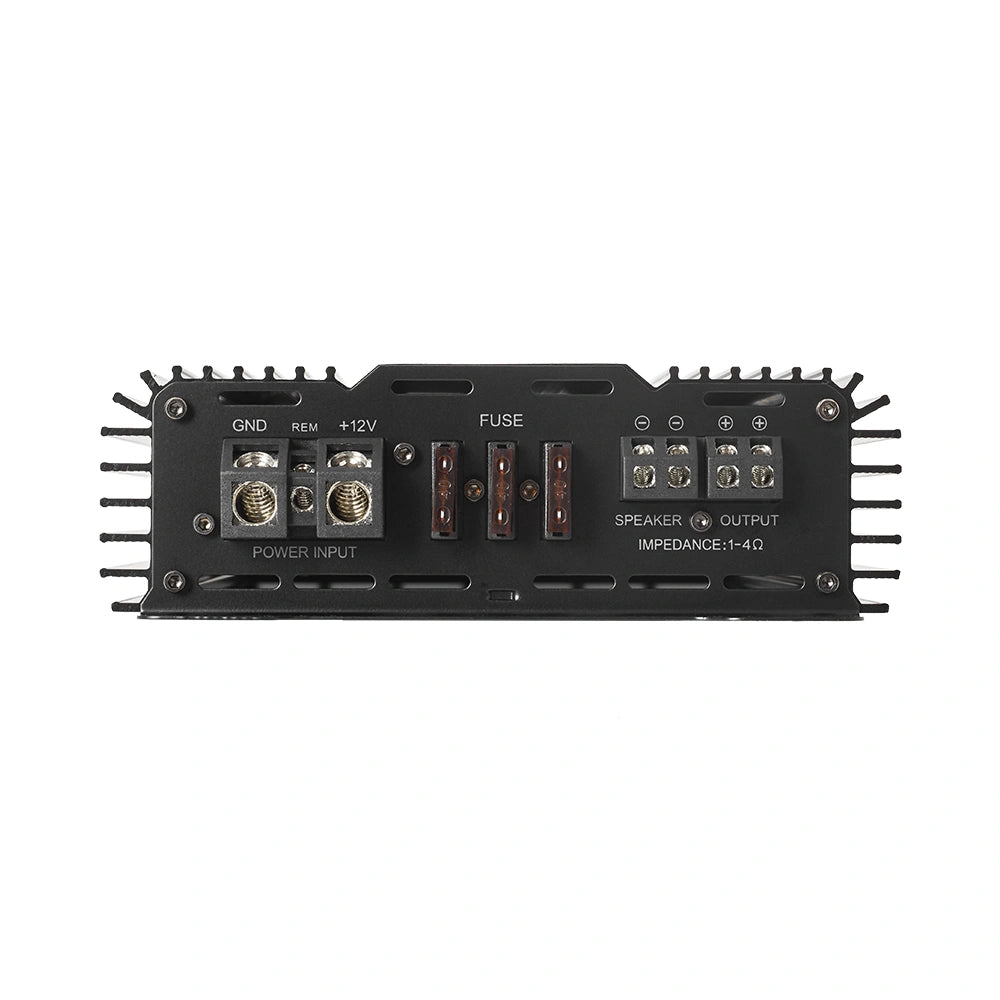 Bass Habit Rebel RA2000W med Tershine Purify S+