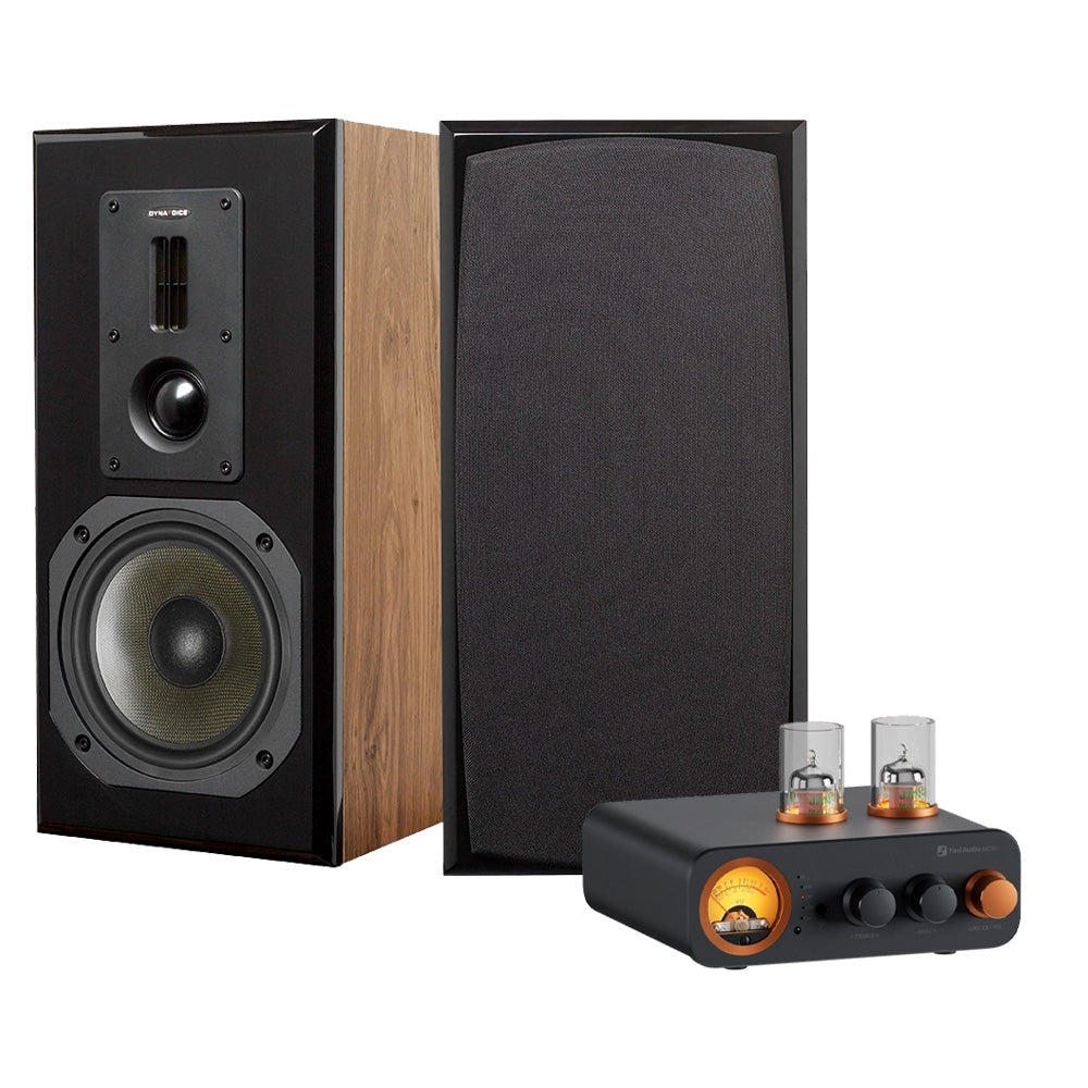 Dynavoice Definition DM-6II med Fosi Audio V3 (32V), stereopaket