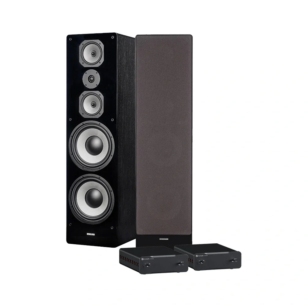 Dynavoice Challenger M-105 med dubbla Fosi Audio monoblock, stereopaket. Svart