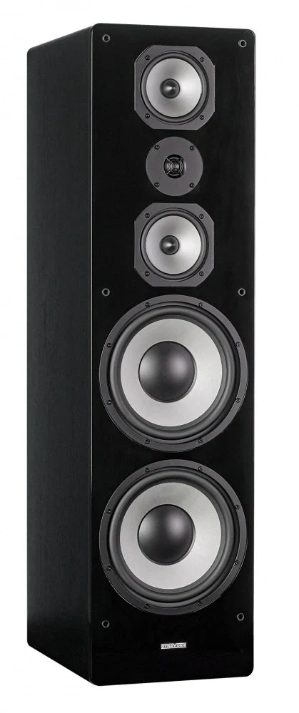 Dynavoice Challenger M-105 med dubbla Fosi Audio monoblock, stereopaket. Svart