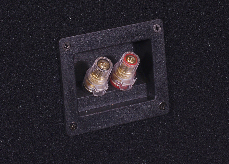 2-pack GAS MAX S2-12D1 i portad låda