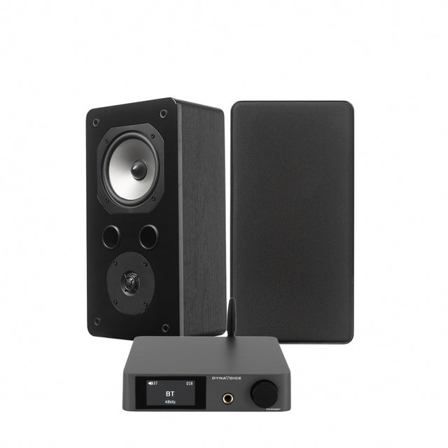Dynavoice CA802BT & Challenger S-5S, stereopaket