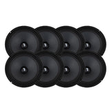 8-pack Bass Habit Play SP200M med Tershine Tvättpaket