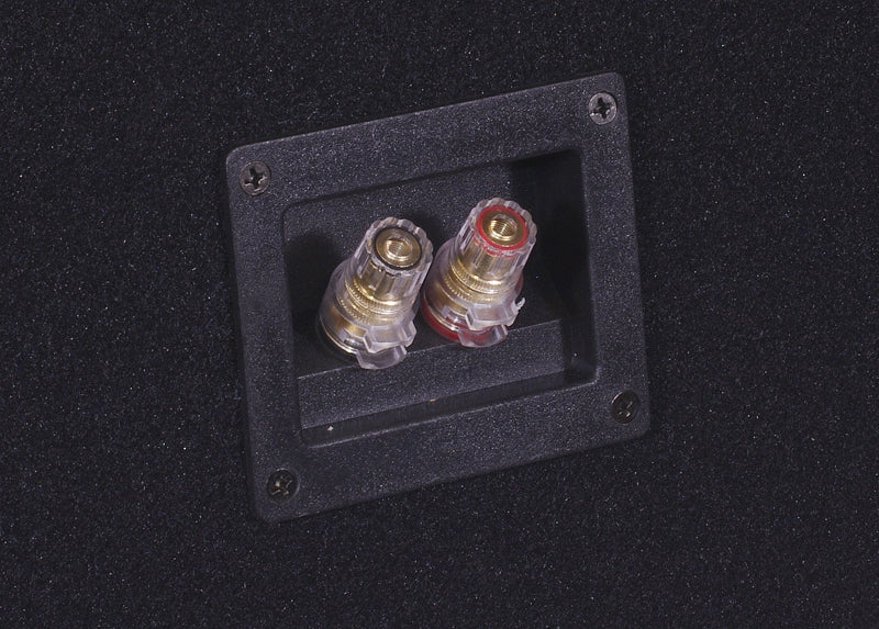2-pack DS18 ZXI12.4D i låda med slutsteg, baspaket