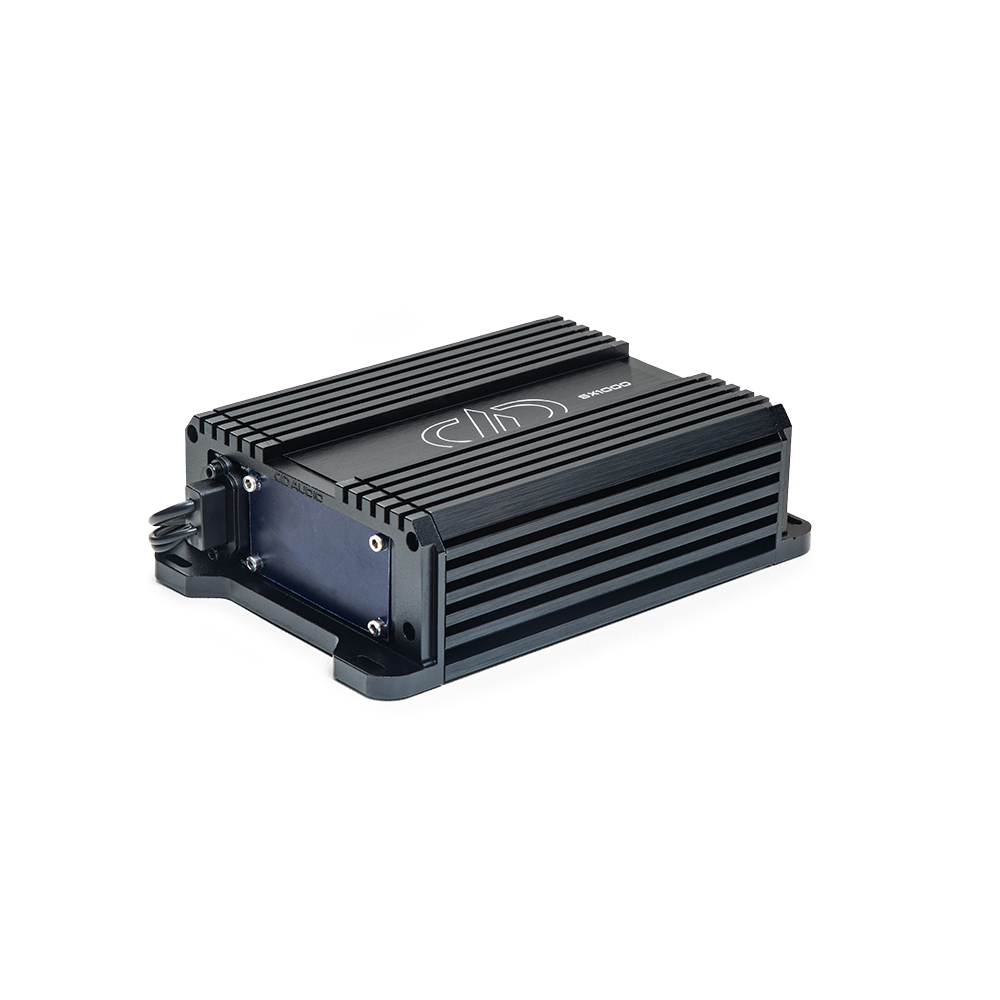 DD AUDIO SX1000, monoblock