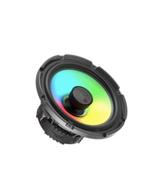 CerwinVega SM10F4