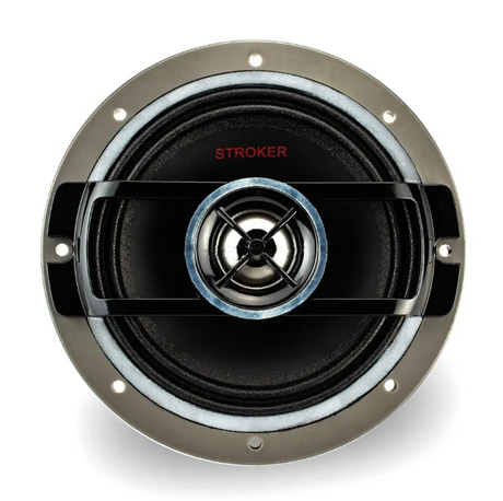 Cerwin-Vega RPM 5,25"