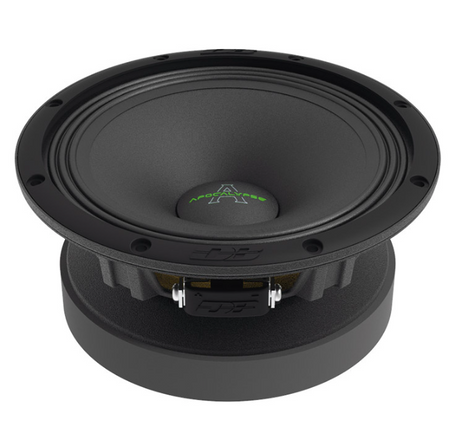 Deaf Bonce Arnold 6,5+