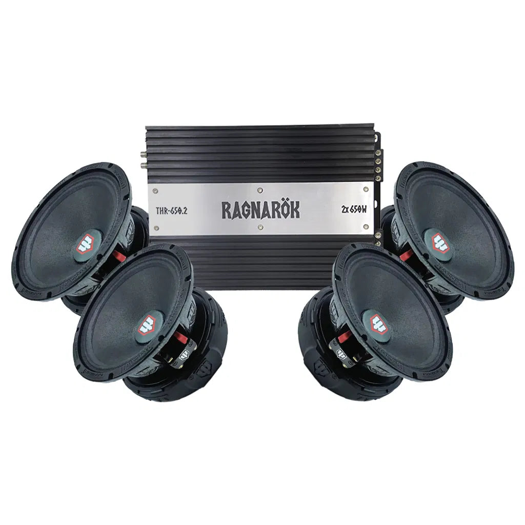 TT Technology 6PRO 4x6.5" Amp pack