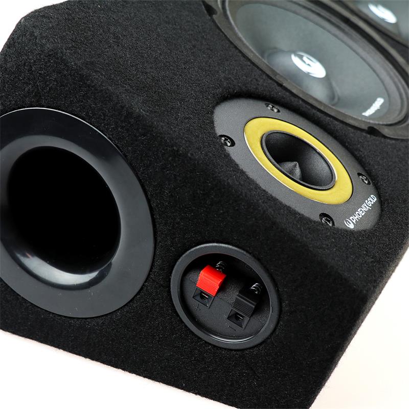 Phoenix Gold ZPBOX654 – Raggarplanka
