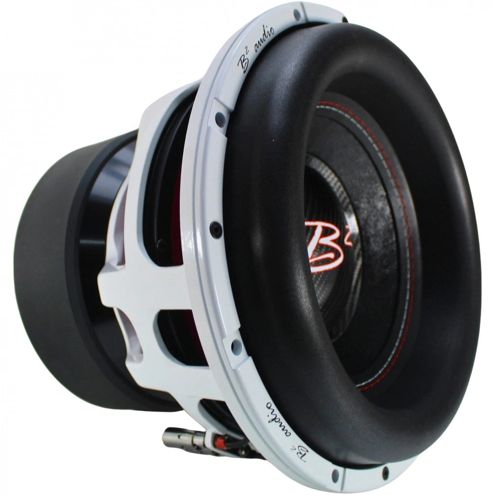 Portad 2x12 tums Comp-låda med 2st B2 RAGE 12D2 V4