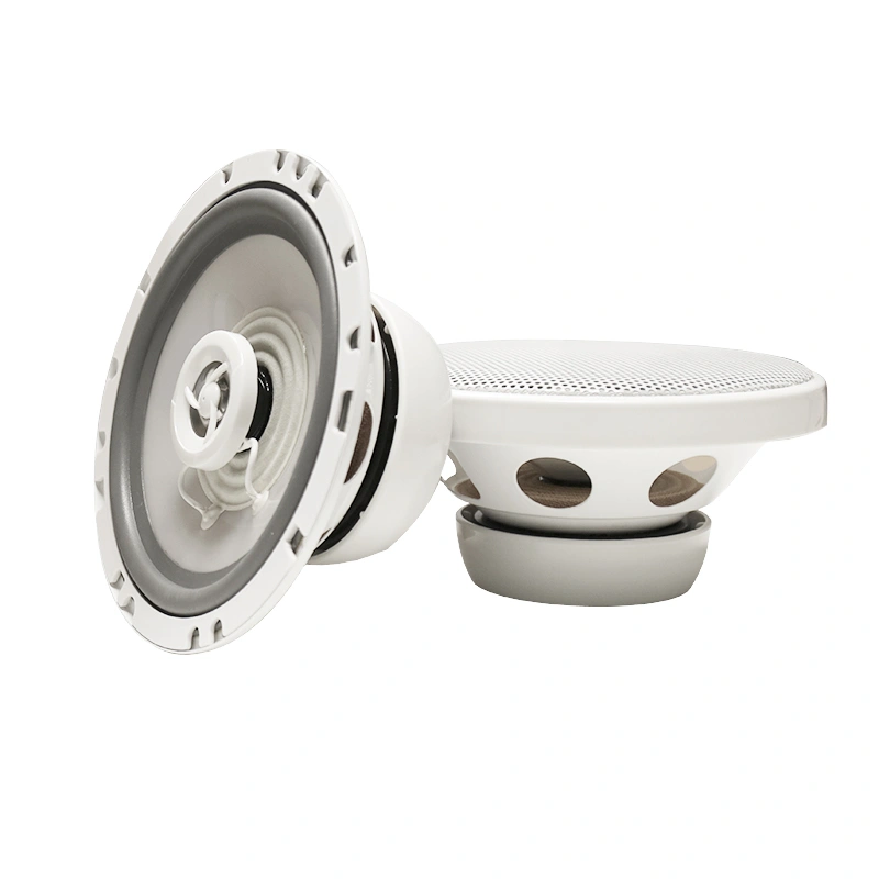 DS18 MRX1 och 2 par GAS MS62, marinpaket